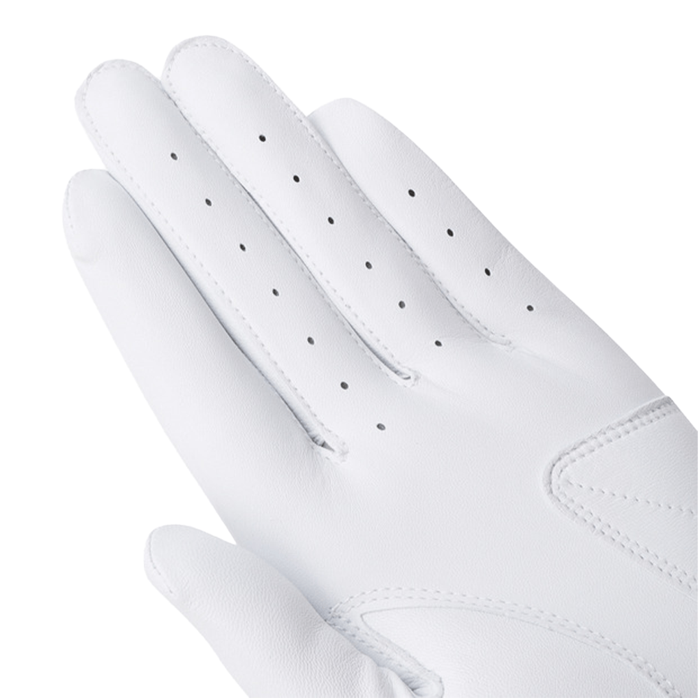 SHEEPSKIN LEFT - HAND GLOVE 男士 羊皮高爾夫球手套 - ASH GOLF Taiwan