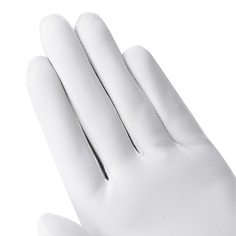 VP7 LEFT - HAND GLOVE 男士 高爾夫球手套 - ASH GOLF Taiwan