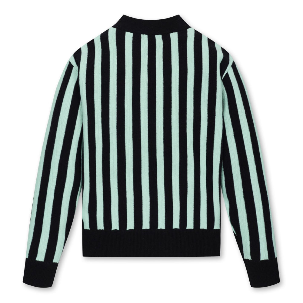 STRIPE V-NECK SWEATER 女士 V領毛衣