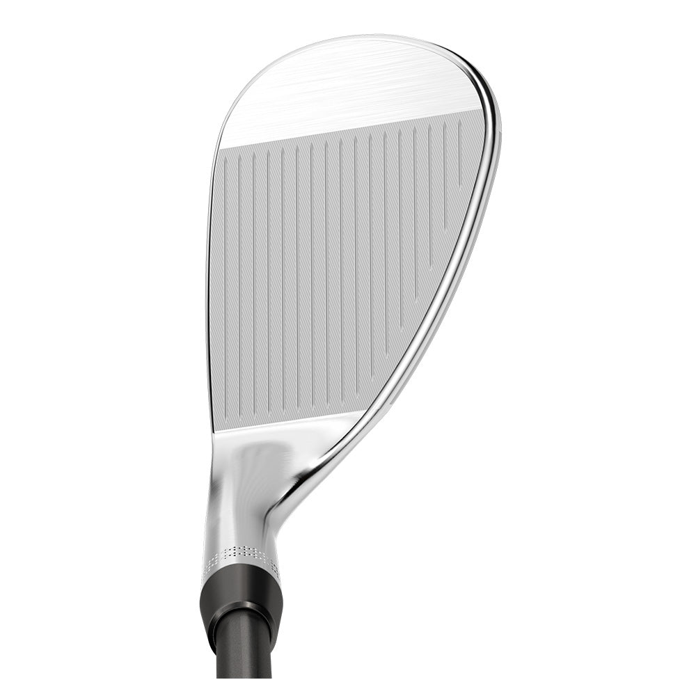 OPUS PLATINUM 挖起桿 - ASH GOLF Taiwan