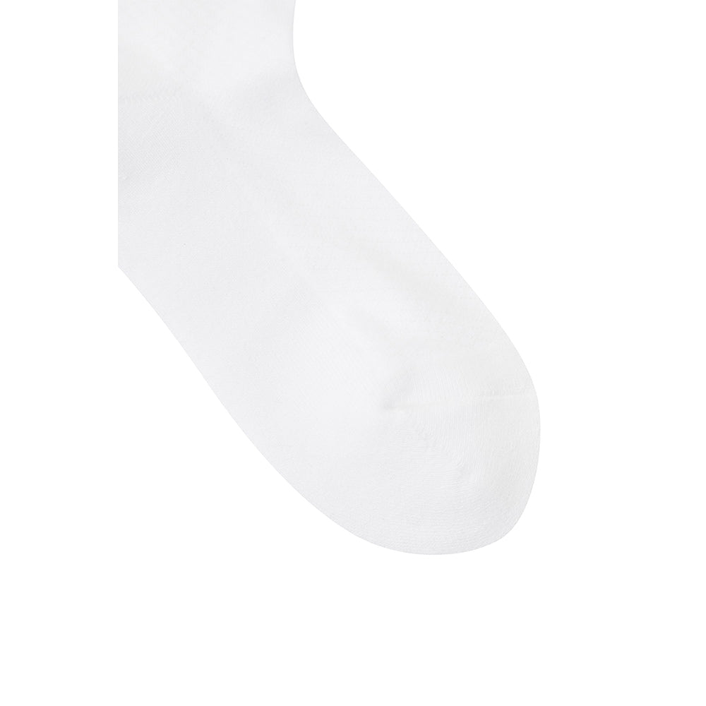 OVER KNEE SOCKS 女士 過膝長襪
